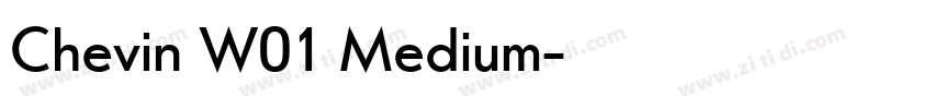 Chevin W01 Medium字体转换